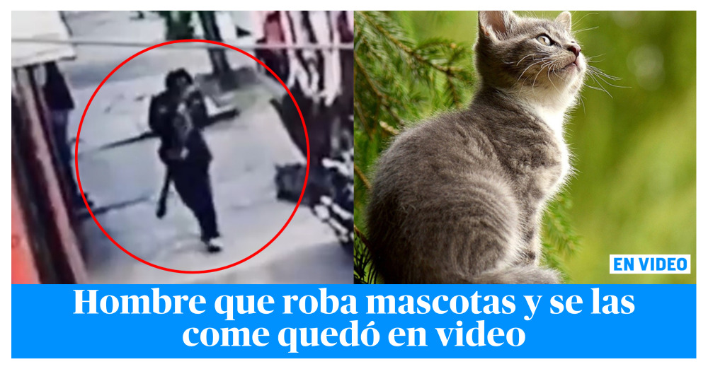 Scary!  They record a man eating a cat: apparently he steals pets for dinner