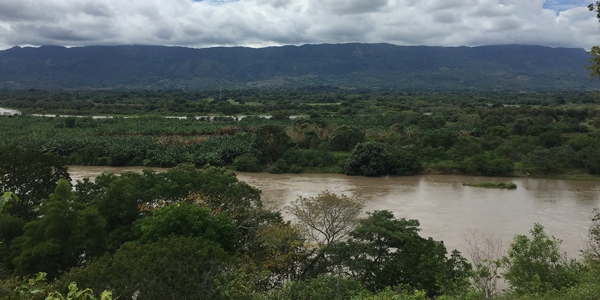 Suministradas / El Nuevo Día.