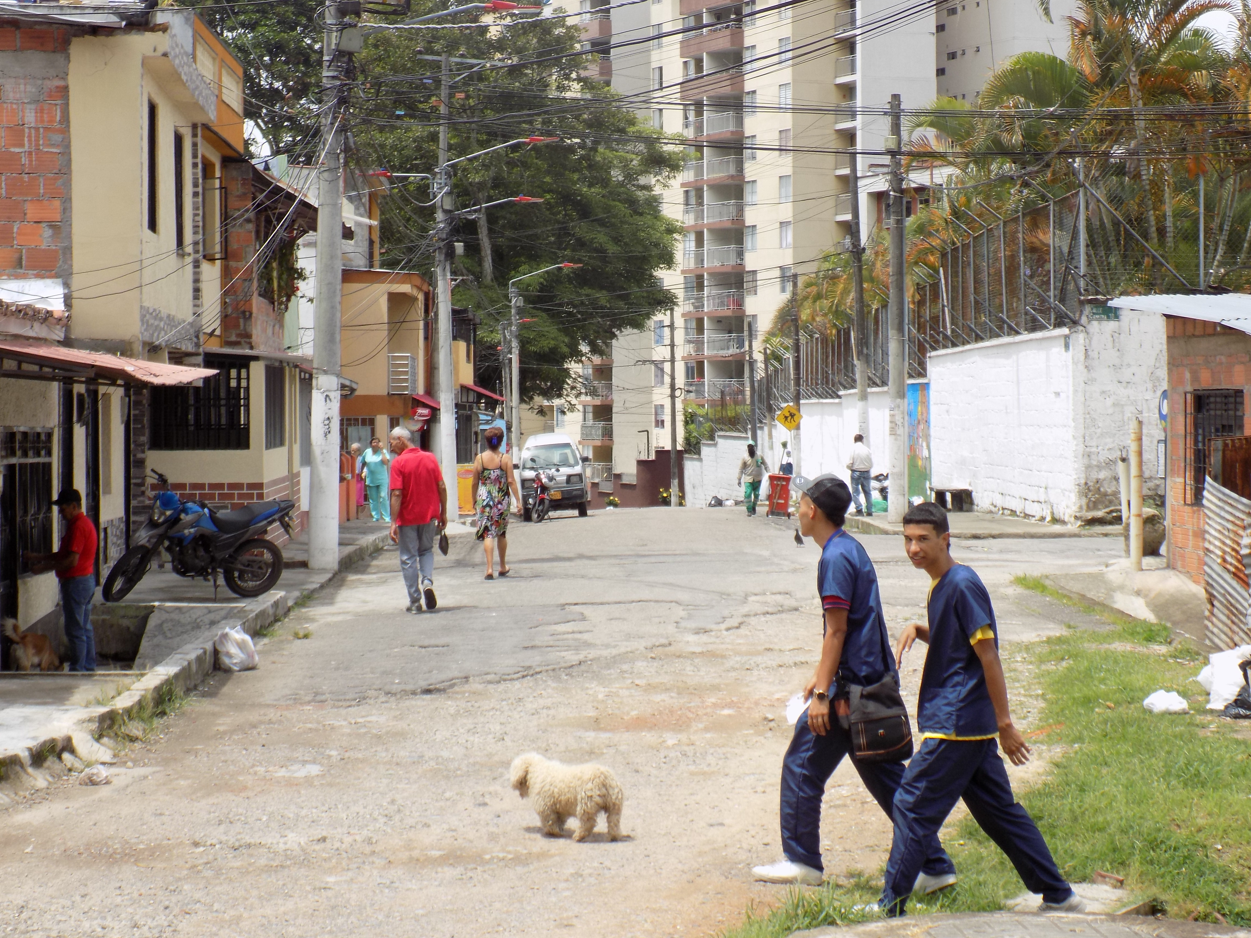 La vía principal por donde ingresa la ruta de transporte público, requiere mantenimiento.  