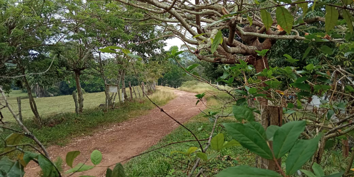 Suministradas / El Nuevo Día.