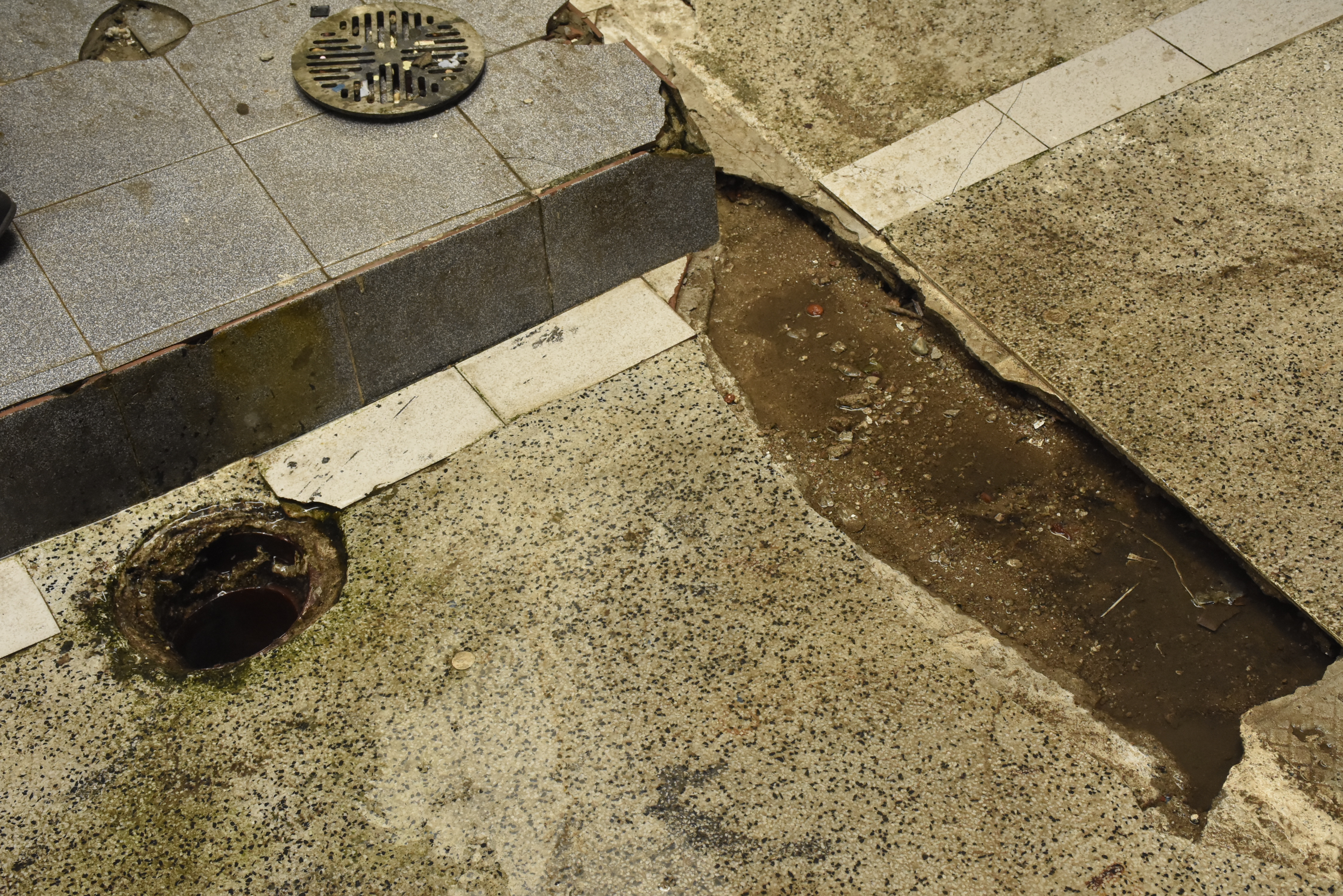 Este es el área donde presuntamente ‘brota’ el agua.