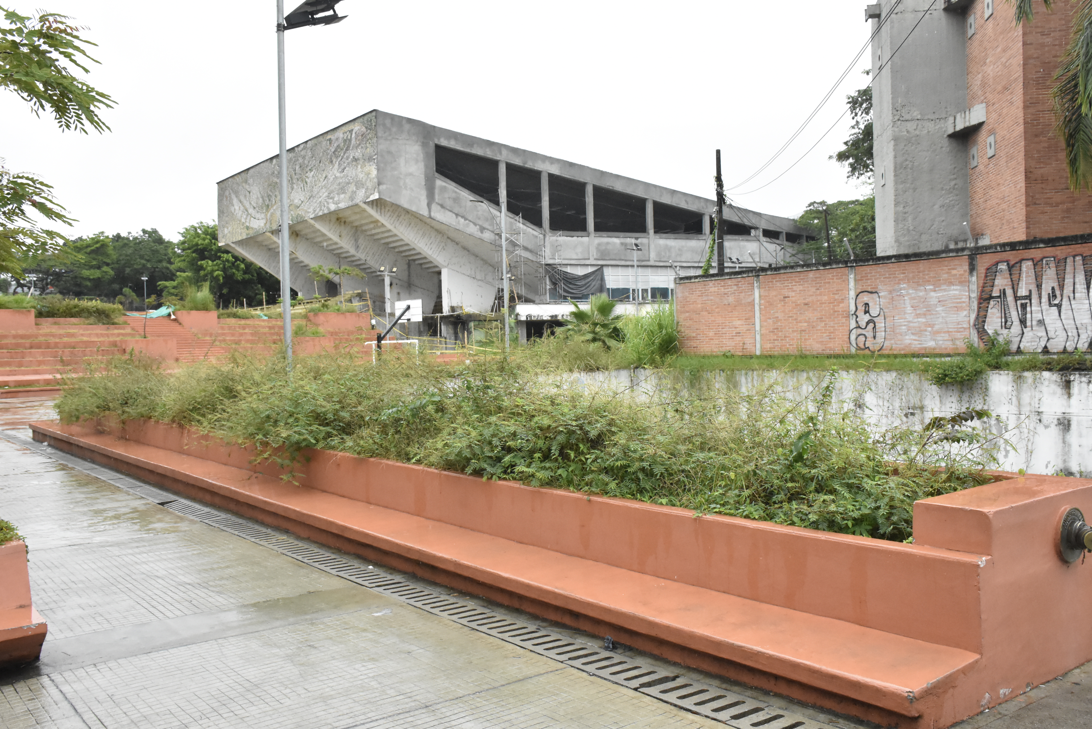 Los jardines ubicados en la plazoleta de la Unidad Deportiva están descuidados. 