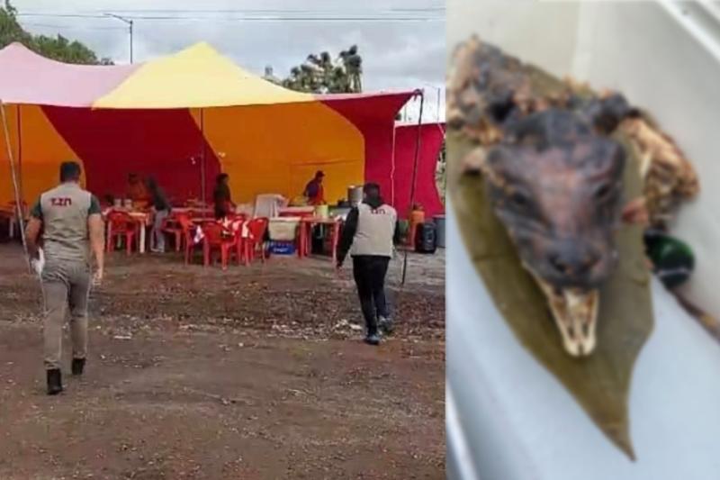 Señalan que puesto de comidas vendía carne de perro, ¡filtraron fotos de las supuestas cabezas!