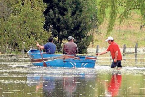 Colprensa - EL NUEVO DÍA