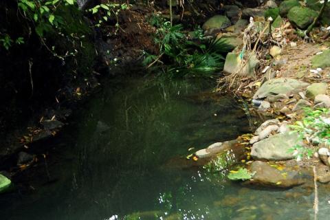  Las autoridades han alertado por la alta contaminación del afluente que recorre gran parte de la ciudad. 