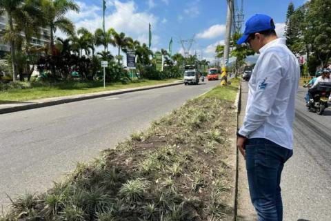 El paso de las llantas provocó el daño de las plantas