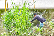  Se adelantaron trabajos de pintura, poda y mantenimiento del lugar ubicado en la comuna seis. 